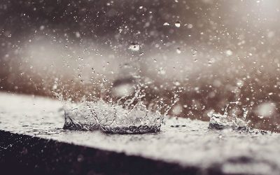 What to Do if Your Sump Pump Fails