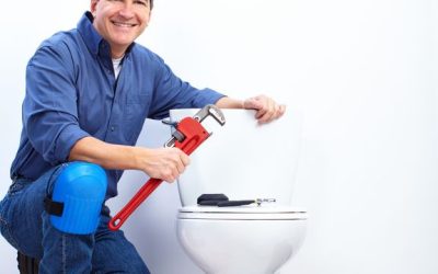 Don’t Get Hung Up by Toilet Maintenance Problems