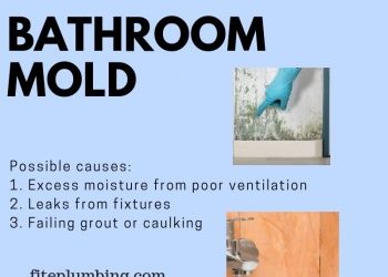 Bathroom Mold Problems and Solutions