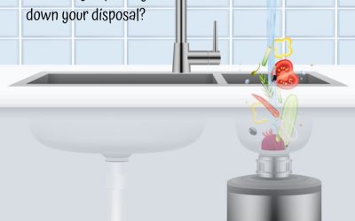 You Have a Clogged Garbage Disposal, Now What?